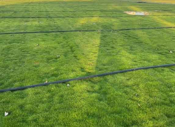 shiv shankar landscape