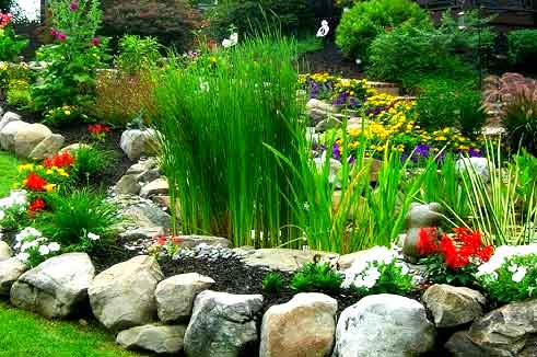 Rock Garden Ideas